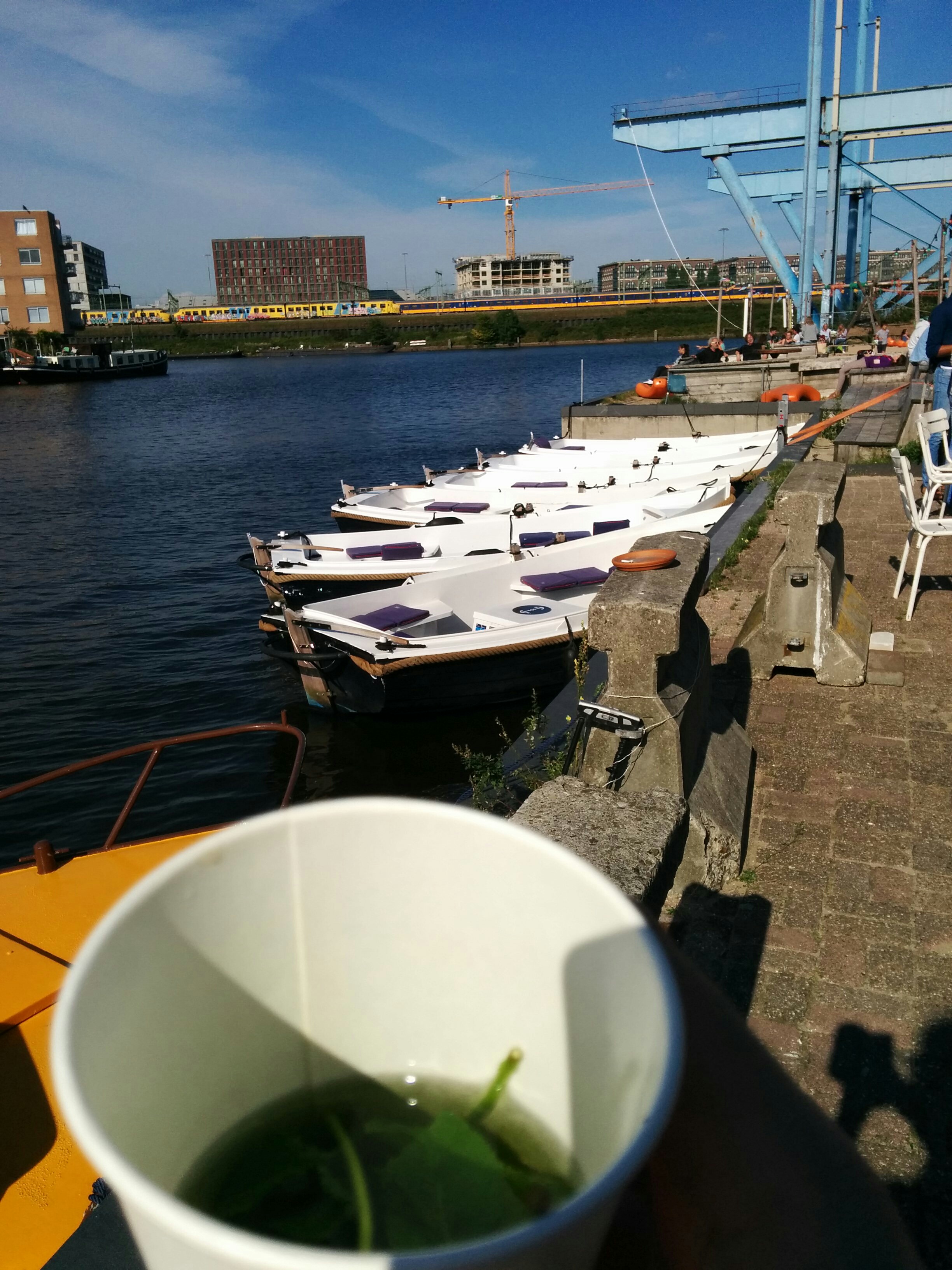 View on a canal in Amsterdam over some fresh mint tea